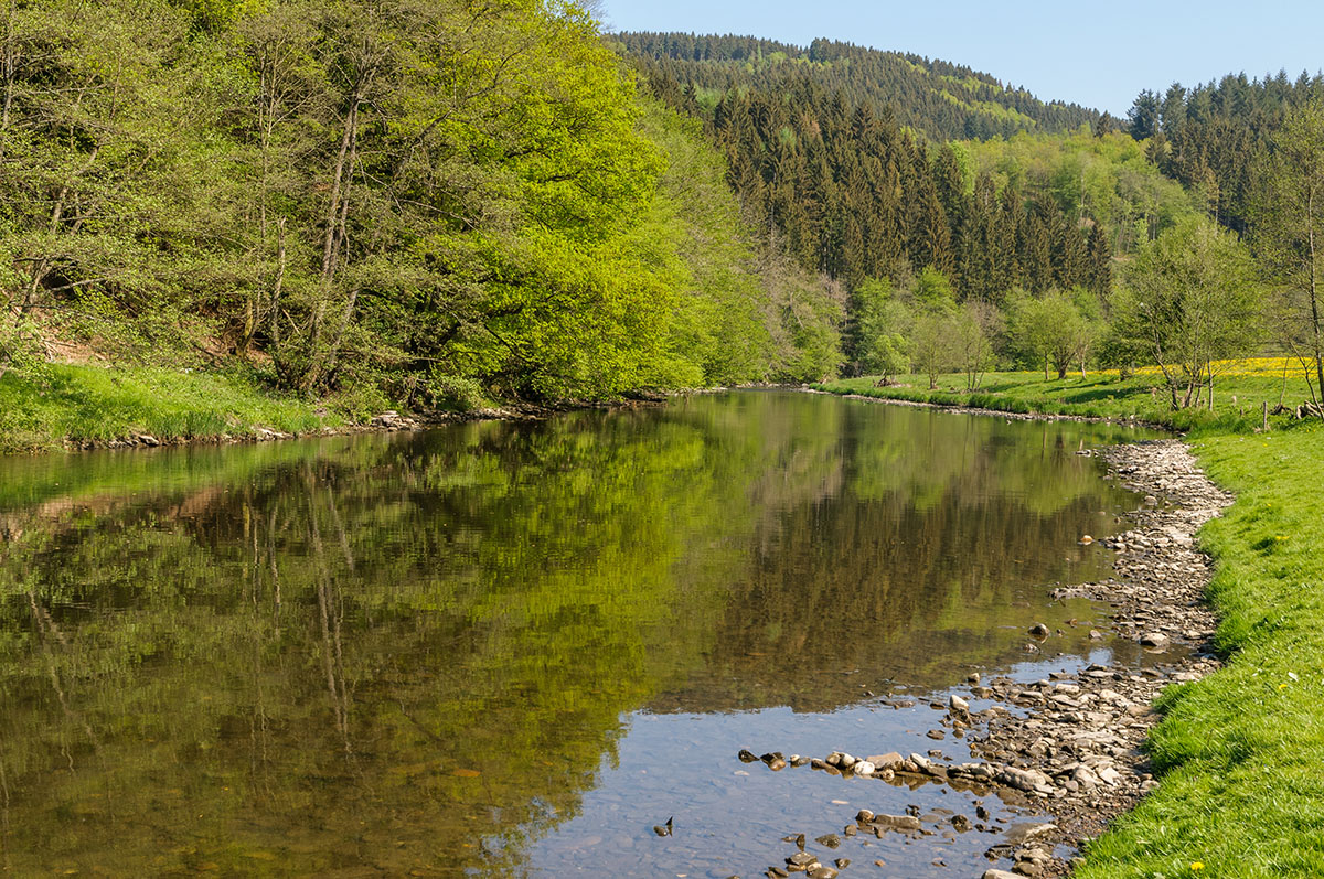 A calm river flowing towards hills covered in trees with a pebble covered bank